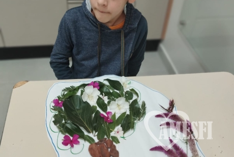 Características das Plantas